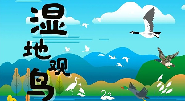 【獨立觀鳥一日營】走進(jìn)白馬湖濕地，一起來探尋鳥兒的秘密